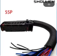 CONECTOR 55 VIAS FEMEA 8208907-1 COM CABO