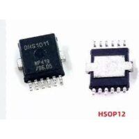 DHS1011