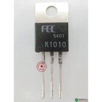 2SK1010