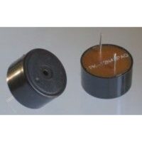 BUZZER PK12N40