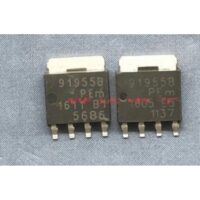 BUK9Y19- 55B 91955B