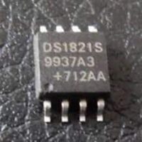 DS1821S