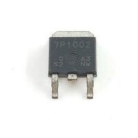 H7P1002DS 7P1002